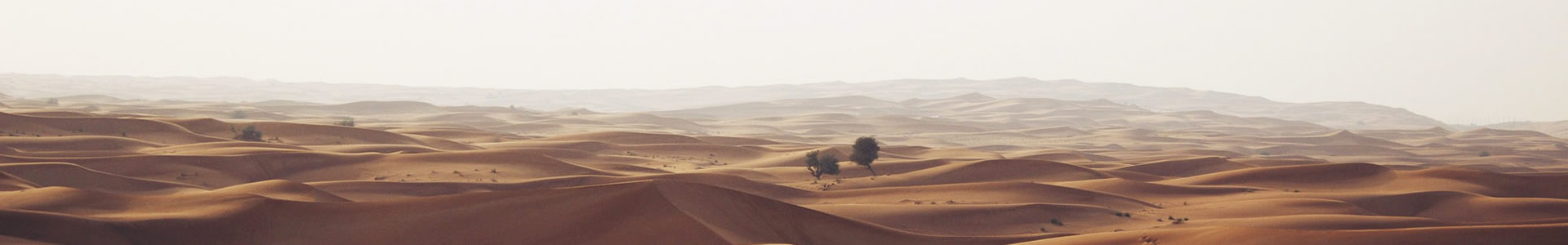 ܳƼչ޹˾